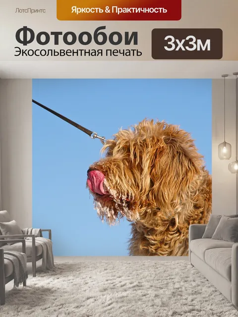 Фотообои Собака