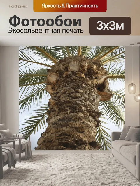 Фотообои Пальма