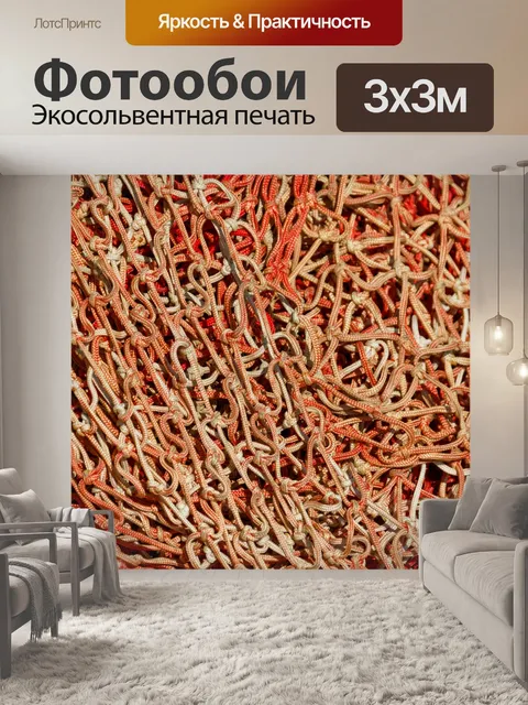 Фотообои Коммерческая рыболовная сеть