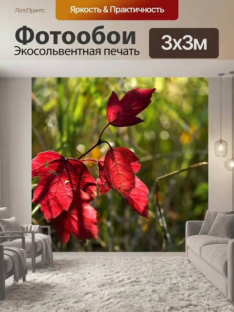 Фотообои Осень листва листья осеннее дерево