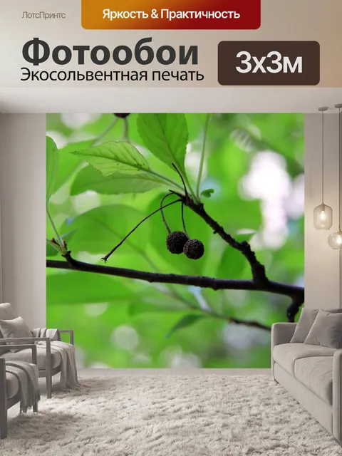 Фотообои Зеленые листья