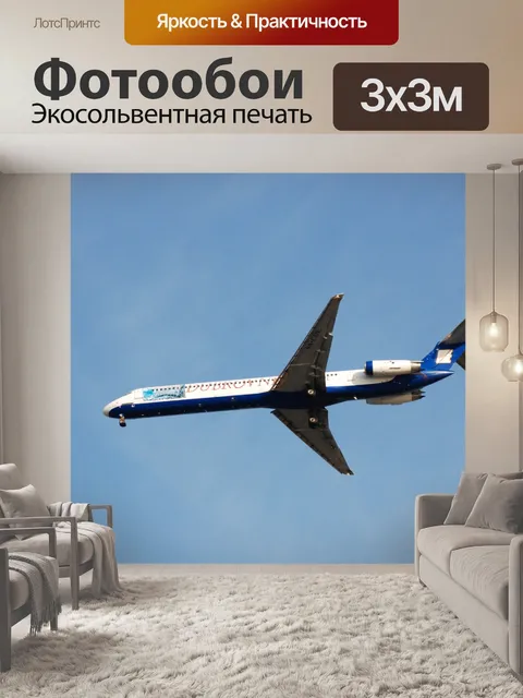 Фотообои Коммерческая посадку самолет