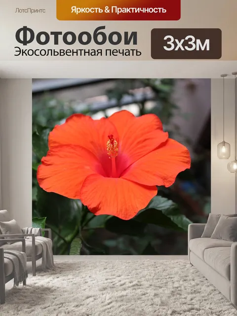 Фотообои Красный