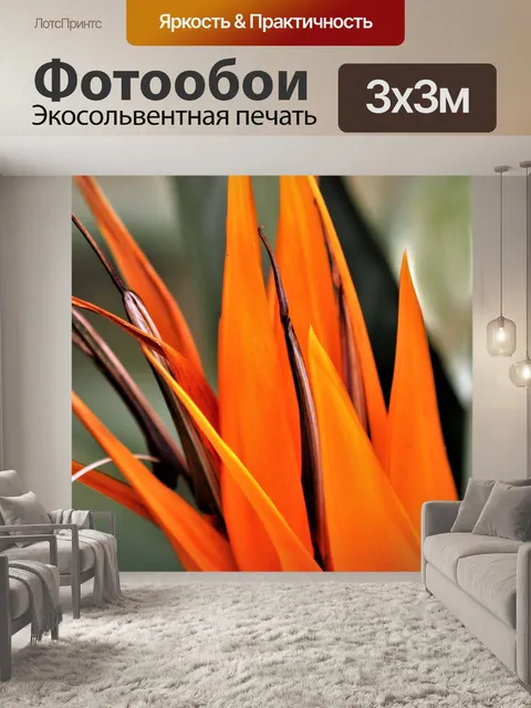 Фотообои Оранжевая птица рая