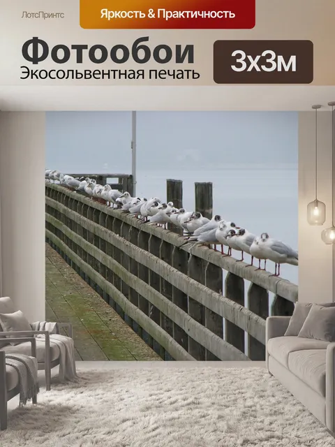Фотообои Чайки