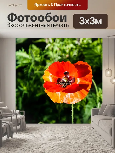 Фотообои Мака