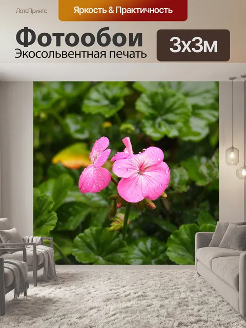 Фотообои Розовый