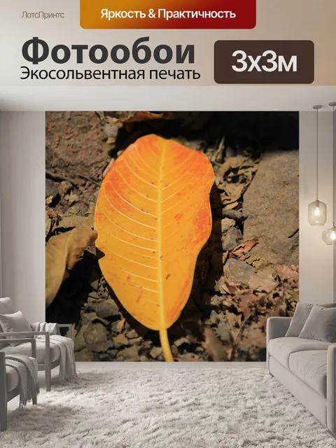 Фотообои Оранжевый лист