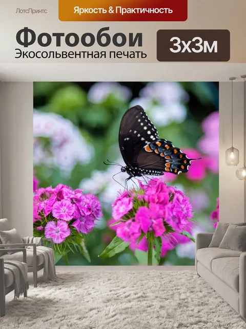Фотообои Бабочка