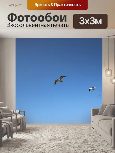 Фотообои Чайка