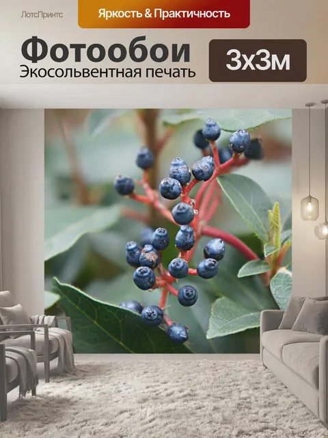 Фотообои Осенние ягоды