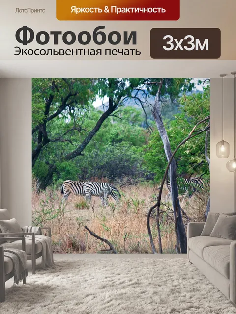 Фотообои зебра, пасущаяся в открытом лесу