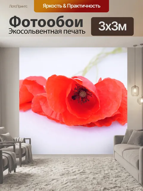 Фотообои Мак