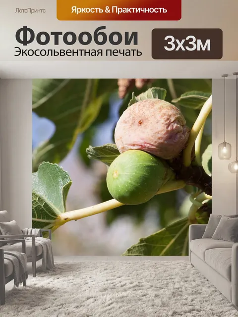 Фотообои Рис