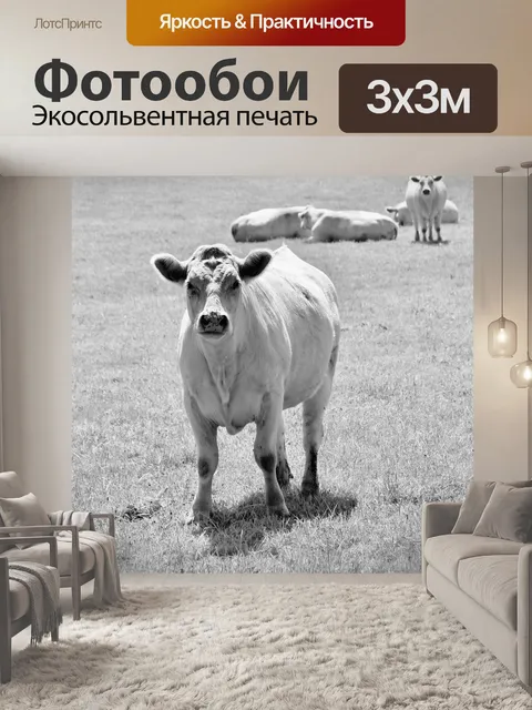 Фотообои Корова