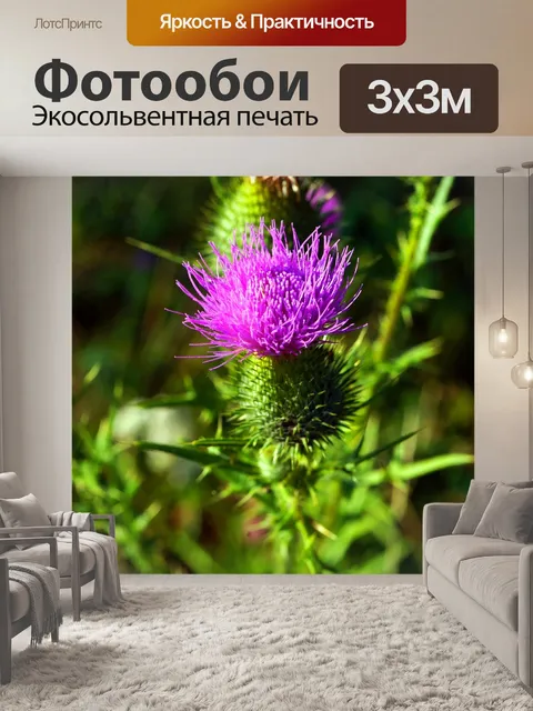 Фотообои Цветок