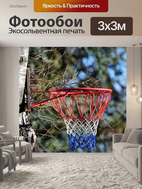 Фотообои Баскетбол