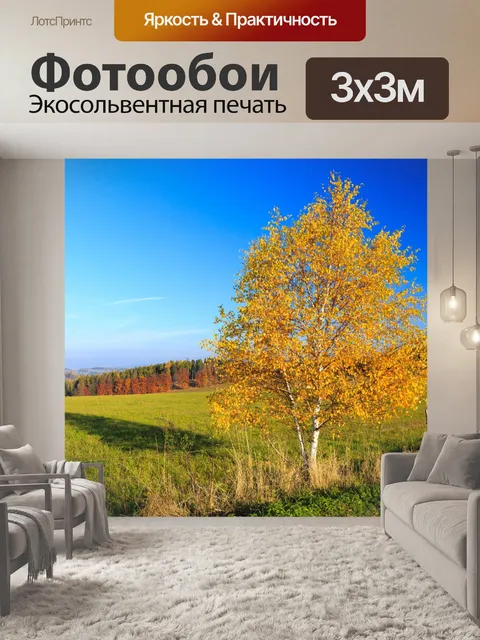 Фотообои Береза осенью