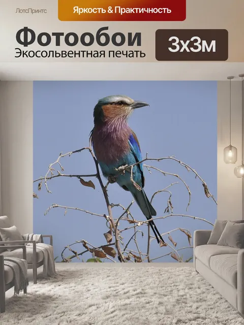 Фотообои Вилка колодка
