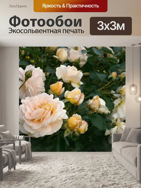 Фотообои Роуз
