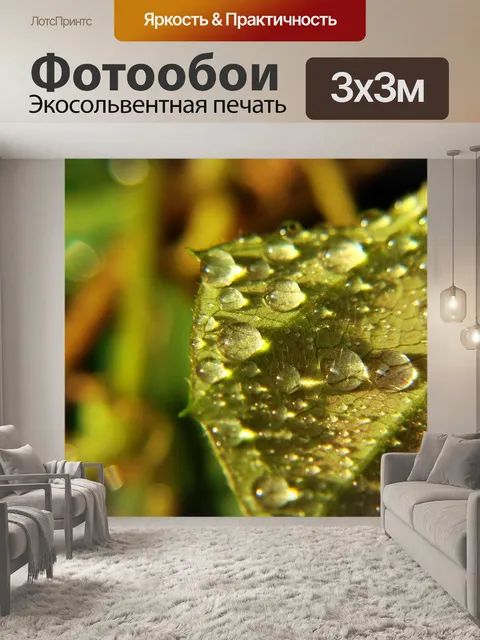 Фотообои Капли
