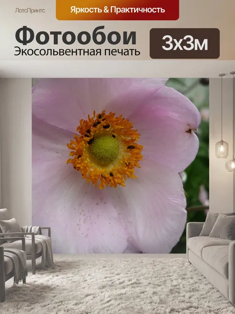 Фотообои Летняя ветреница