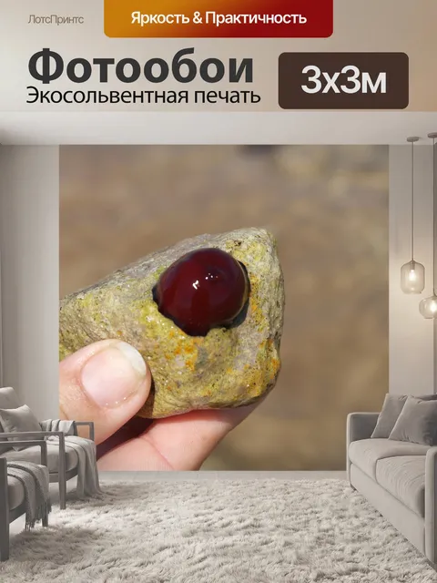 Фотообои Рука