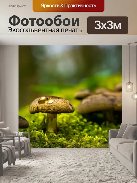 Фотообои Гриб