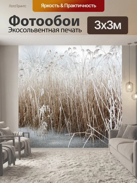 Фотообои Рид