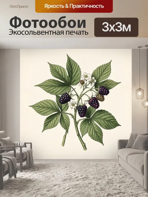 Фотообои Ежевичная ветвь с листьями