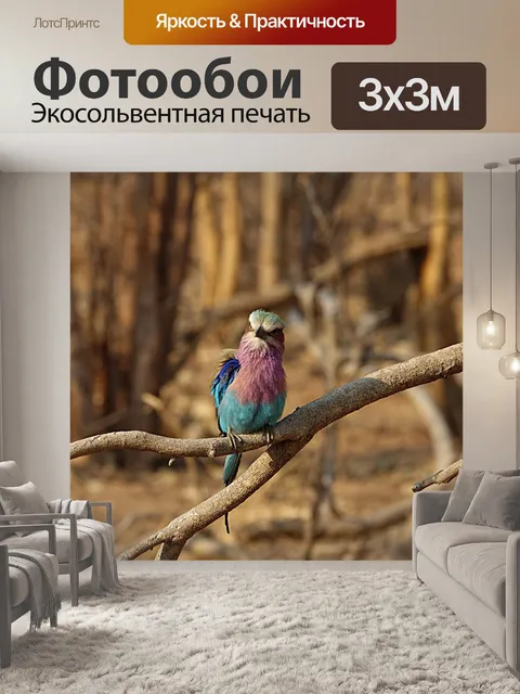 Фотообои Вилка колодка
