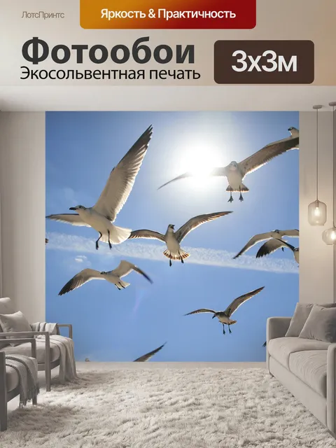 Фотообои Летающий