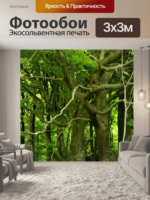 Фотообои Лес