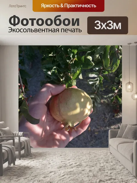 Фотообои Фрукты