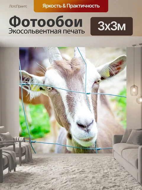Фотообои Домашняя коза