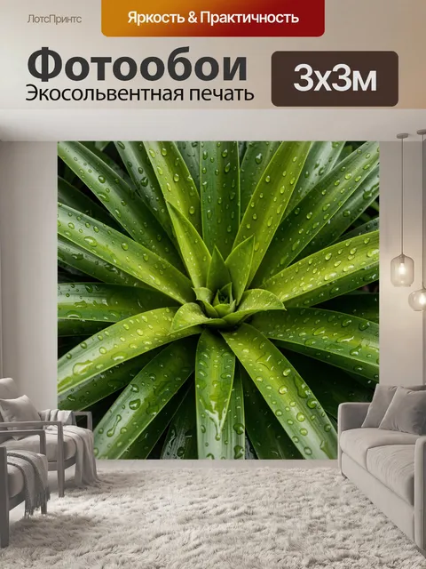 Фотообои Зеленые листья с каплями воды