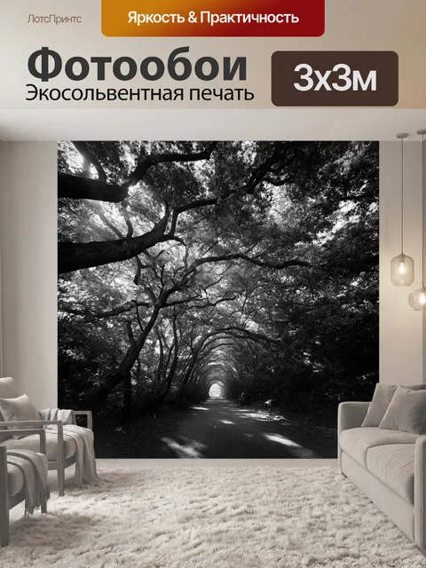 Фотообои черно-белый отображают древний лес, где ветви деревьев переплетаются над головой, образуя естественный тоннель