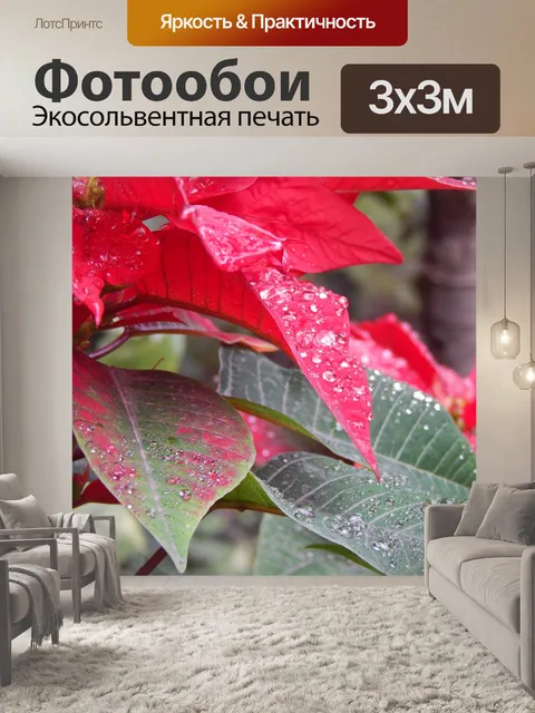 Фотообои Дождь