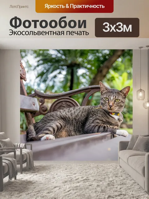 Фотообои Кот