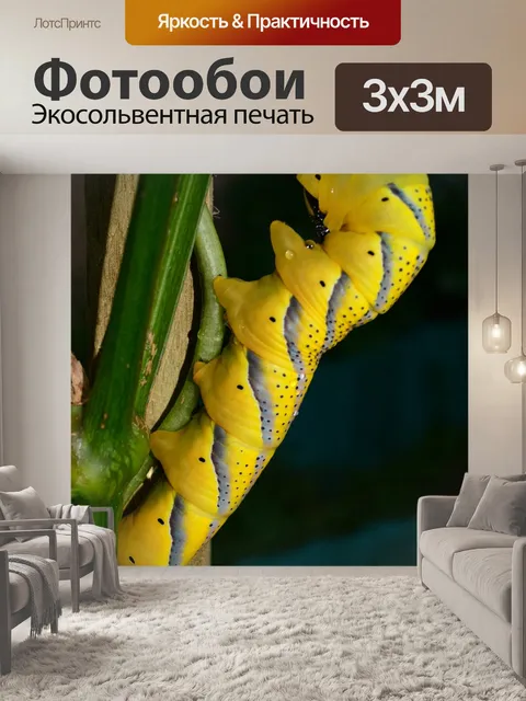 Фотообои Смерть-руководитель