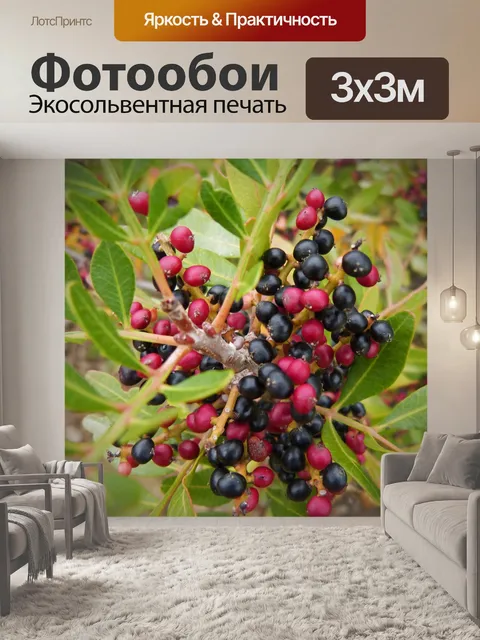 Фотообои Ягоды