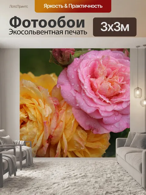 Фотообои Розы
