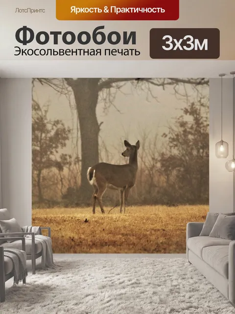 Фотообои Белохвостый олень в тумане