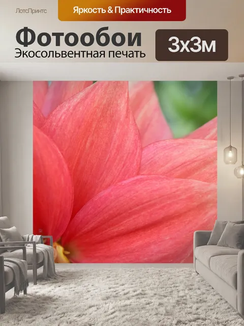 Фотообои Размер георгина 4