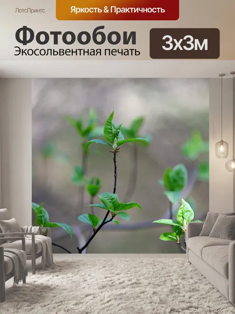 Фотообои Весна