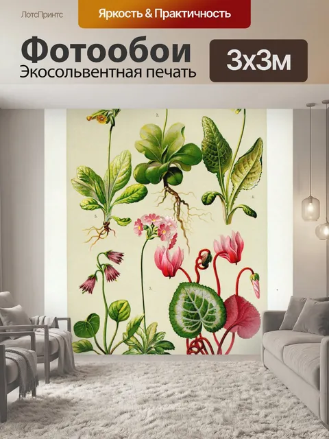 Фотообои Цветочная иллюстрация полевых цветов ста