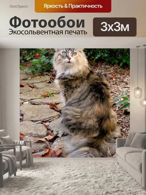 Фотообои кошка на пути