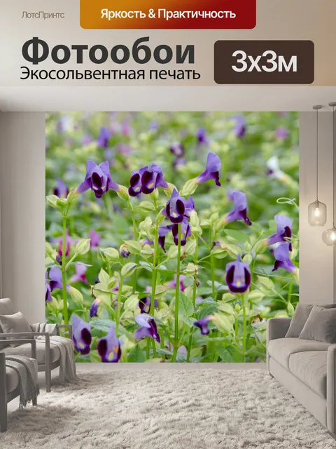 Фотообои Цветок