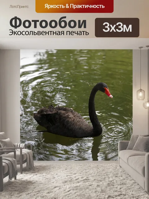 Фотообои Лебедь