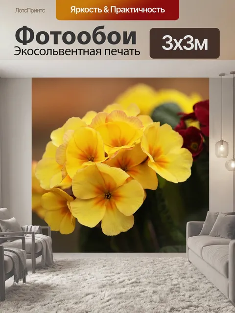 Фотообои Желтые примулы